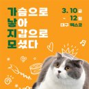 블레스펫츠 네이버블로그
