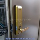 롯데비디오 프라자 이미지