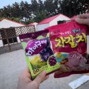마이구미매점 이미지