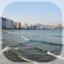 남천2동 | 부산 가볼만한곳 남천해변공원 광안리해수욕장이 한눈에 보이는 곳 힐링 여행 코스