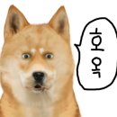 미래안경 콘택트 이미지