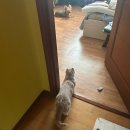 9월-1. 갑자기 투병하게 된 일상;(브루클린더버거조인트, 커피베르비에, 망막격자변성)