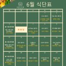 샐러드포레스트