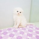 가족건강랜드 휴 이미지