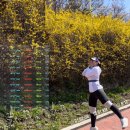 대화4교 | [10km 마라톤 훈련] 03 초보러너 10km 완주 전략