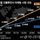 "1년 수입 10억"…수백만 구독자 '유튜버의 세계'