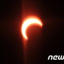 연세봄스킨 이미지