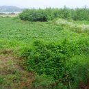 여주-0043 이미지