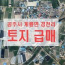 공주토지공인중개사사무소 이미지