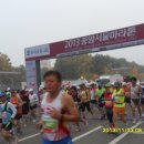 서울중앙마라톤대회 참가후기 이미지