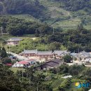 정남진한옥민박 이미지