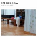 밀린일상 올리기 23탄