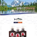 대구애견 이미지