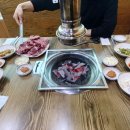 밥먹는하마 이미지