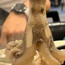온천장역 북측공영주차장 입구 네이버블로그