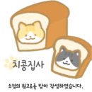 클래시 휘트니스 | 잠실 헬스장 PT 맛집 클래시 휘트니스 후기