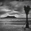 신양섭지코지해변 이미지