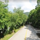 달천펜션 이미지