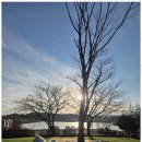 애견펜션 돌봄 이미지