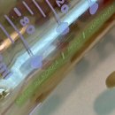 핑크퍼피 | 빨대컵 입문 추천 I 모윰 원터치 빨대컵 퍼피 에디션 5~6개월 아기 후기