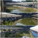 신천자연 낚시터 이미지