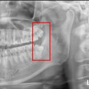 원당시장약국 이미지