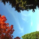 가을=낙옆,오리,물방울,나무,의자,꽃,빨강.... 이미지