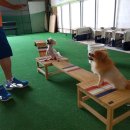 바우밸리 이미지