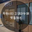 캣플헤븐 엘리스빌 인천서구점 | 루원시티 '캣플헤븐' 고양이카페에서 힐링하고 왔어요/인천 아이랑 가볼만한곳