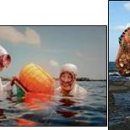 배낭 메고 세상 속으로＜우리나라 24＞ 이미지