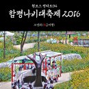 함평나비대축제 이미지