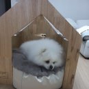 딱조은디자인 이미지