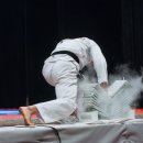 국가대표 한울태권도 이미지