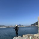 [공지] 태안 학암포 방파제 광어 탐사 후기｜봄 워킹 시즌, 두 번의 도전 끝에 느낀 현실