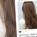 웰리박미용실 네이버블로그