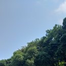 용천태극권수련원 이미지