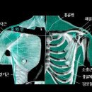 맥스포츠마사지 네이버블로그