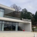 깜장콩 | 광주 근교 꽃구경 담양 생츄어리 대형카페 후기