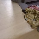 대원아파트 | 청주 가경동 대원아파트 누수탐지 및 수리 후기