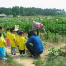 우미농장 이미지