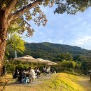 바닐라브릭 이미지