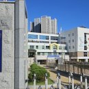 해빛6로9 네이버블로그