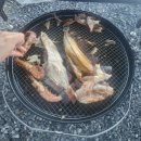 백룡야영장 후기