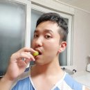 복주농장 네이버블로그