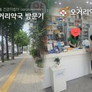 참미소약국 | [공지] [도화동 약국 추천] 세심하고 따뜻한 친절함에 반한 곳, ‘오거리약국’ 방문 후기!