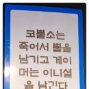 아이존팝대전 이미지