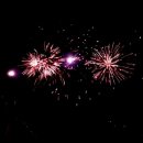 국동유람선 이미지