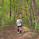 능원금속공원(주) | 홍천 트레일러닝 대회 참가 후기 10km