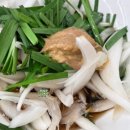송고집 첨단점