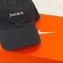 디엔엘고 이미지